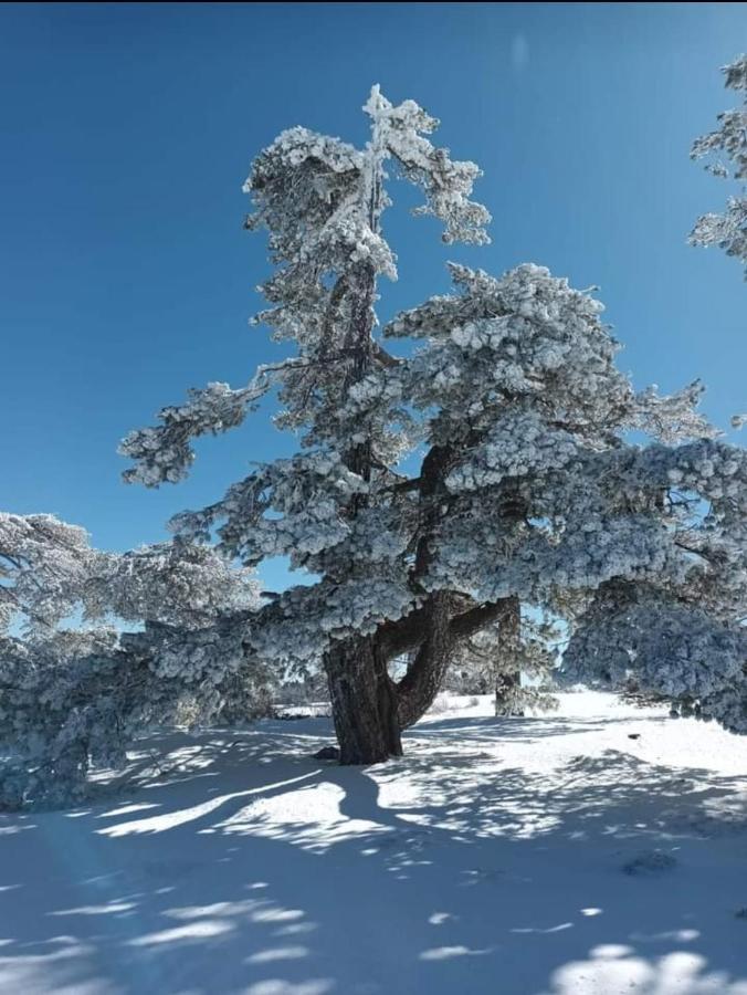Alojamiento El Recreo Cazorla Exteriér fotografie